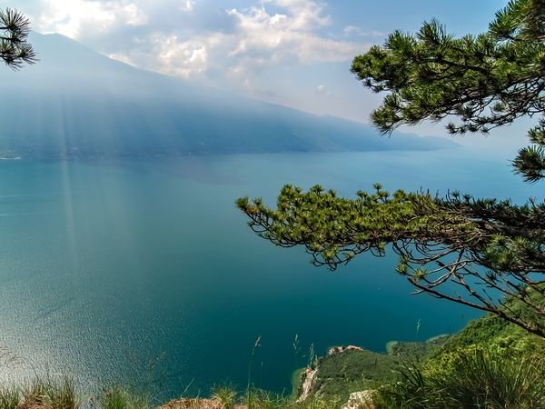 5 Tage Gardasee für die ganze Familie in Bardolino, Venetien inkl. Frühstück