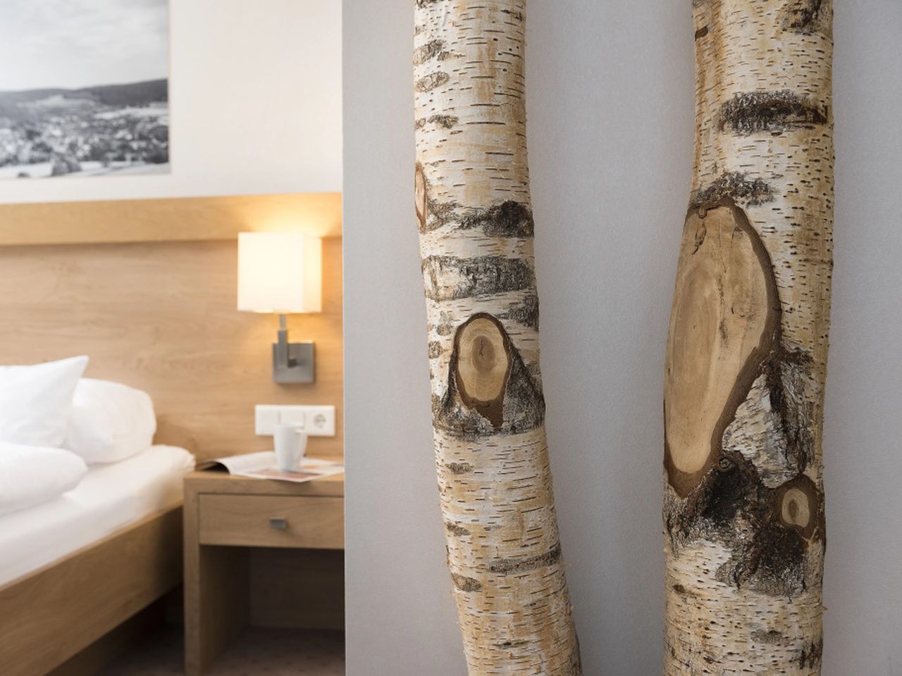 Best Western Plus Hotel Willingen