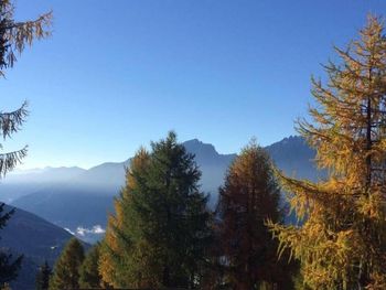 Bild 39 von 40