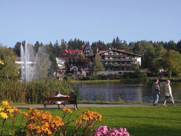 All Inklusiv-Kurzurlaub 6 Tage am Kranichsee im Harz in Goslar OT Hahnenklee, Niedersachsen inkl. All Inclusive
