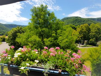 Schwäbische Alb I Genießerland Pur