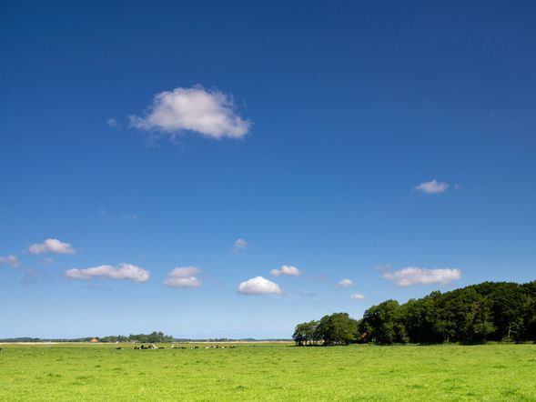 2 Tage Kurzurlaub mit Frühstück im Hotel Texel
