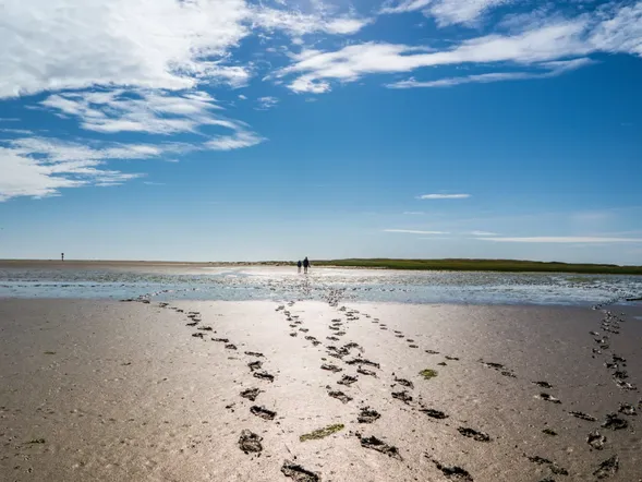 3 Erlebnistage an der Nordsee im UNESCO Weltkulturerbe Wattenmeer