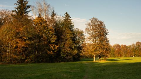 Herbstlandschaft im Paul-Diehl-Park in Gräfelfing