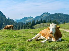 3 Tage Chiemgau Deluxe Romantik mit Halbpension