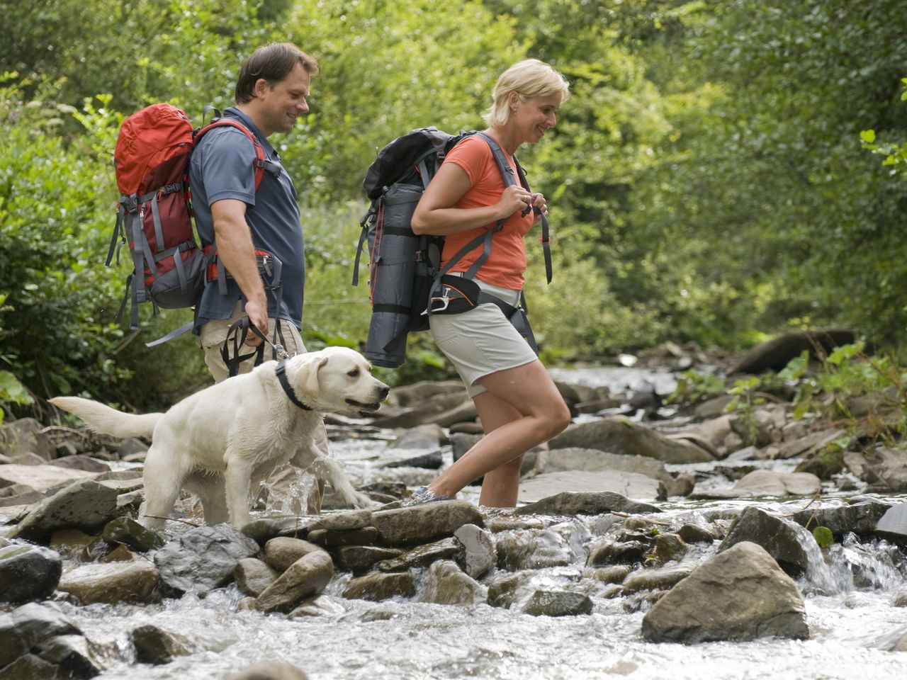 Tierisches Vergnügen - Bergferien mit Hund + HP / 7T.