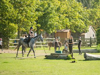 3 Tage Auszeit in Hirschburg: Nahe der Ostsee und Pferden
