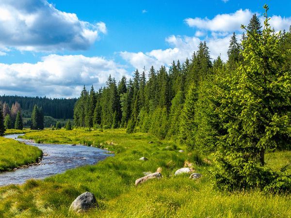 3 Tage Bayerischer Wald:Sommer in der Natur mit Freibad & HP in Traitsching, Bayern inkl. Halbpension