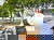 3 Tage City & Natur – Kurzurlaub in Den Bosch
