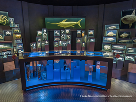 OZEANEUM Stralsund mit Ticket und Hotel