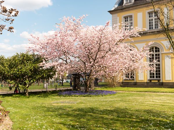 3 Tage Auszeit vom Alltag in Bonn, Nordrhein-Westfalen inkl. Halbpension