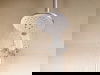 2 Tage im NH Köln Altstadt Hotel mit Frühstück