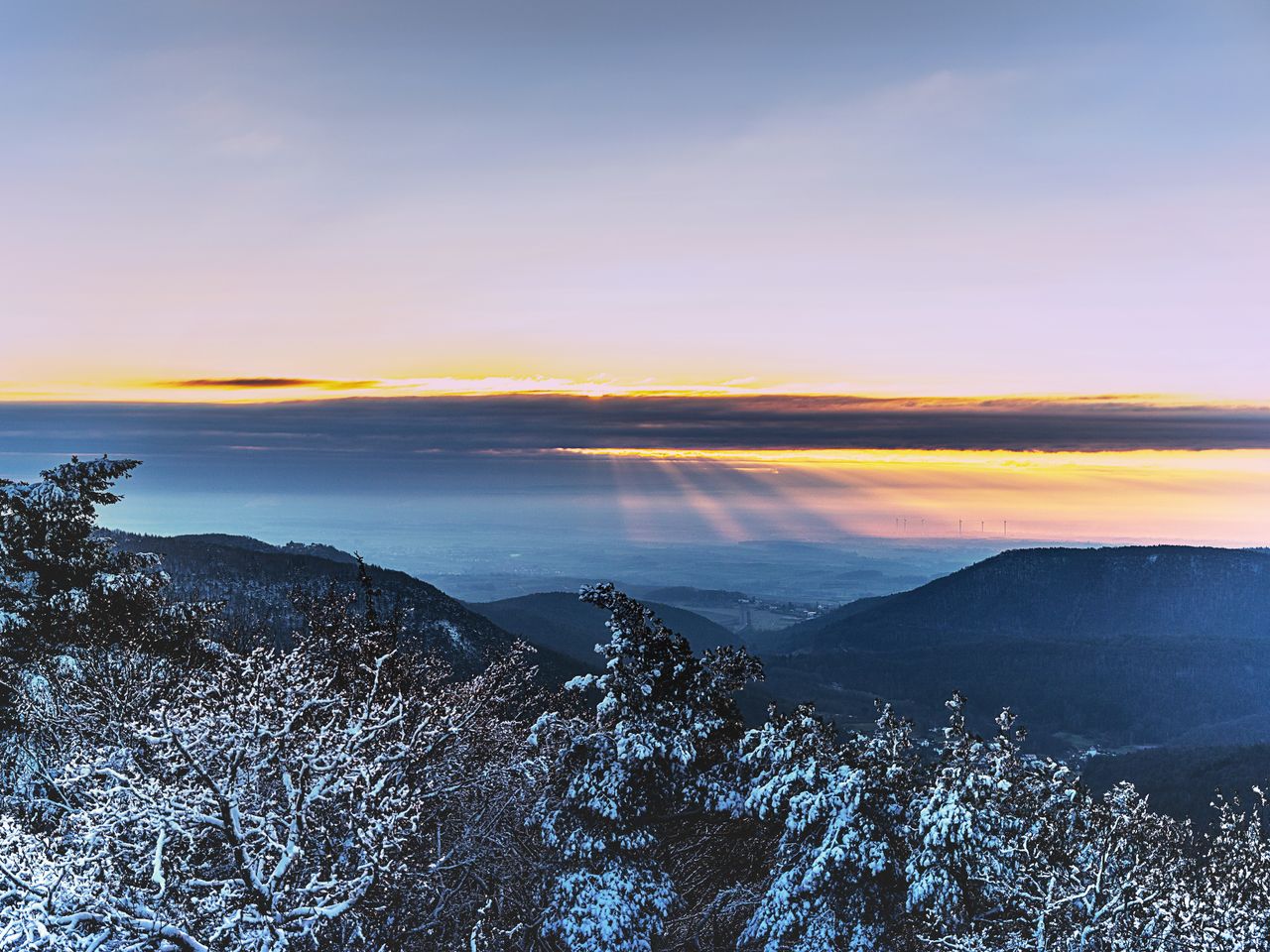 Mosel Wintermärchen