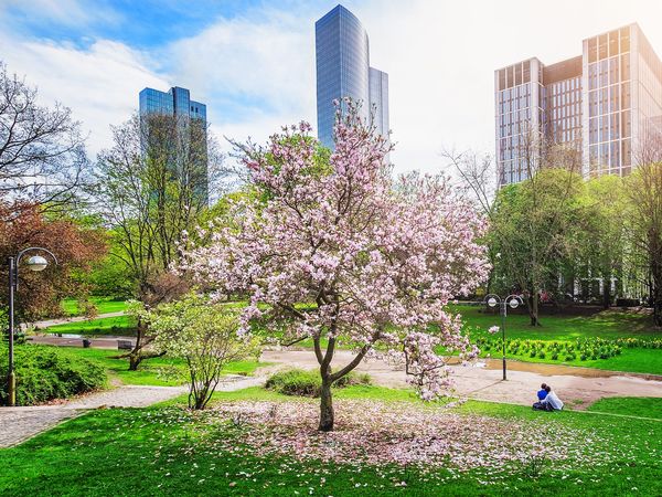 Mainhatten Two GO in Frankfurt am Main Frühstück