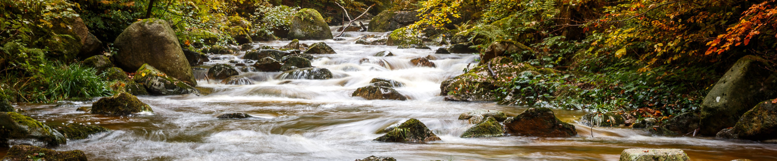 Harz