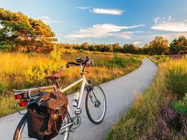 7 Tage Erholung in der vielfältigen Stadt Haarlem