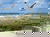 Sommerferien auf Rügen- 8 Tage inkl. Halbpension plus