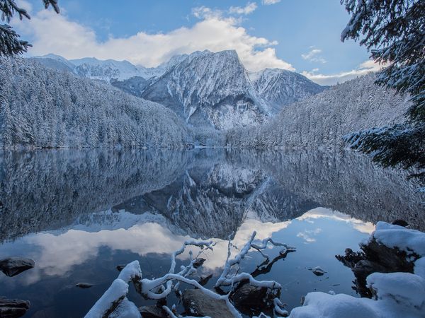 Seerose Auszeit – 6 Tage Sommer-Wellness in Oetz, Tirol inkl. Halbpension