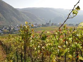 Urlaub beim Winzer an der Mosel