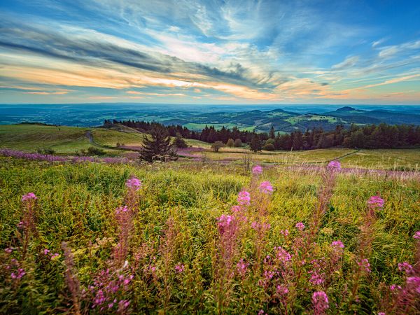 2 Tage Kleine Wochenendauszeit in der Rhön in Bad Brückenau, Bayern inkl. Halbpension