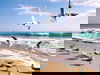 4 Tage Kurzurlaub an der Nordsee