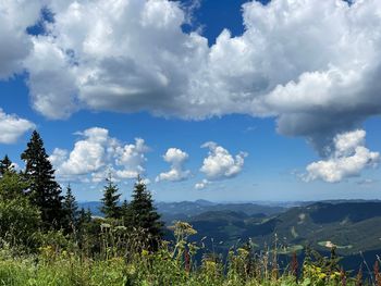 Bild 25 von 26