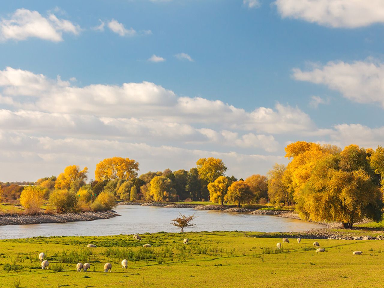 4 Tage in der Nähe des Achterhoeks und der Veluwe