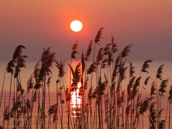 Himmelfahrts - Spezial am See- 3 Nächte inkl. HP plus