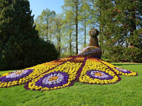 Blütenpracht auf der Insel Mainau am Bodensee-4 Tage - Parkhotel St. Leonhard in Überlingen inkl. Halbpension