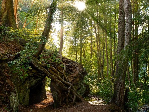 2 Tage 3 Wandertage im Harz – 2 Nächte in Güntersberge, Sachsen-Anhalt inkl. Halbpension