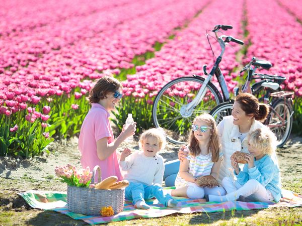 6 Tage Erholung in der historischen Stadt Maastricht Frühstück