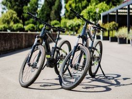 3 erholsame Tage in Langenargen am Bodensee