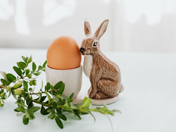 Entspannte Ostertage im „Alten Forsthaus“! in Hürtgenwald OT Vossenack Halbpension