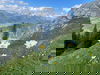 Allgäuer Natur erleben (2 Nächte)