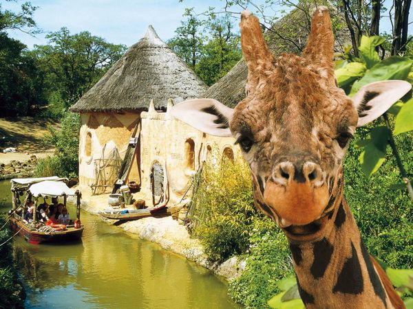 Ein Tag in Hannovers Zoo Frühstück