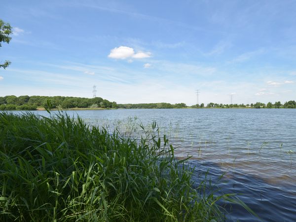 3 Tage City & Natur – Kurzurlaub in Den Bosch in Rosmalen Halbpension