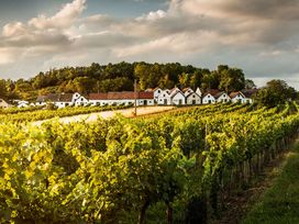 2 Wohlfühlnächte im herrlichen Weinviertel
