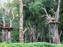 Zu Besuch im ZOO bei Erdmanns & Co. / 2 Nächte