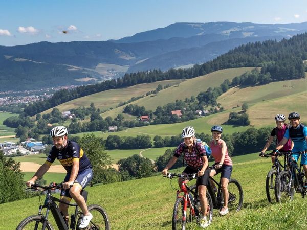 Radeln mit dem E-Bike – 8 Tage inkl. Lunchpaket in Oberried Halbpension