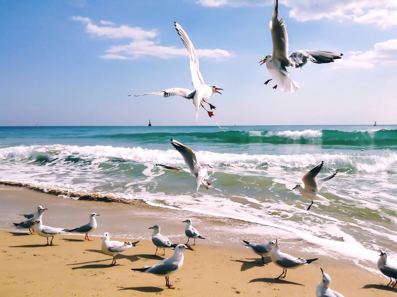 4 Tage Kurzurlaub an der Nordsee