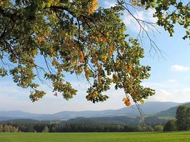 Auszeit im oststeirischen Bergland - 4 Tage