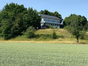 Schwarzwälder Genussreise mit 5-Gang-Menü & Wein