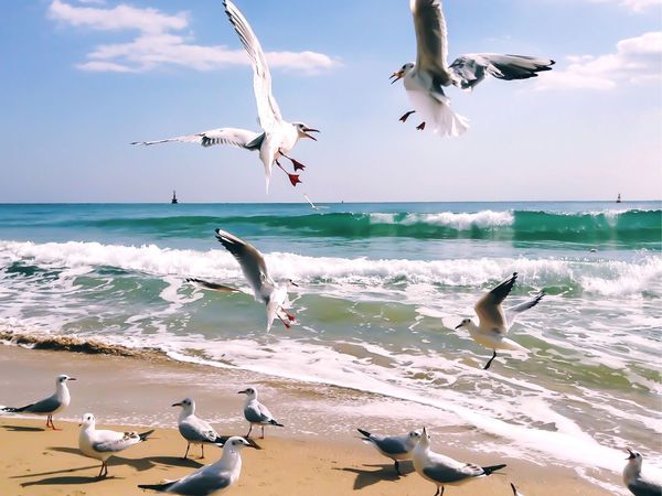 4 Tage Nordseeluft schnuppern in Nordseebad Carolinensiel Frühstück