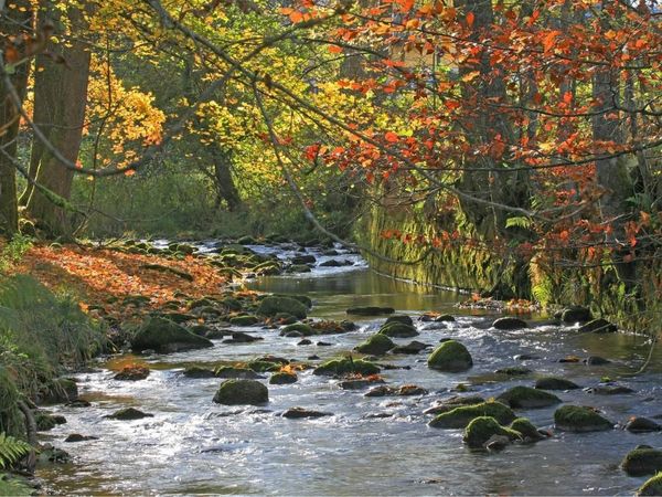 6 Kennlern-Tage im Schwarzwald in Baiersbronn-Mitteltal, Baden-Württemberg inkl. Halbpension