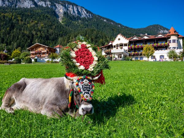 4 Tage Almabtriebswoche in Söll am Wilden Kaiser – 4 Nächte, Tirol inkl. Halbpension