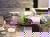 3 Tage Panoramahotel Gelderland – Natur & Auszeit pur