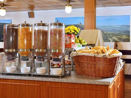 Wellnesshotel Svornost
