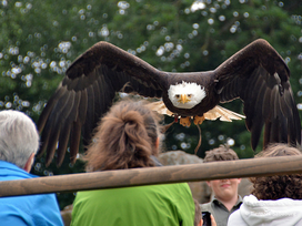 Tierpark Sababurg mit Hotel