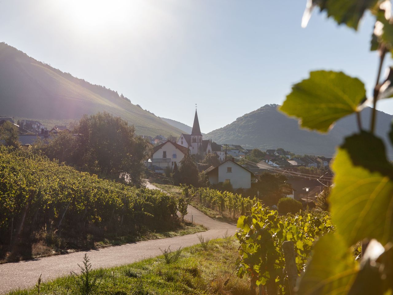 Kleine Auszeit an der Saar nahe der Mosel