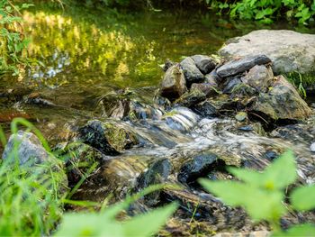 Kleine Auszeit an der Saar nahe der Mosel